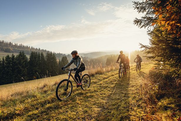 A family on a path in the forest with their bikes while the sun is setting in the background. They are riding on the Blockline trail in the Ore Mountains.