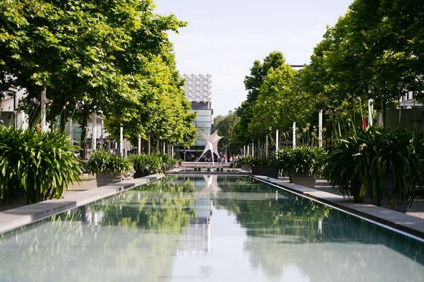 Von Bäumen eingesäumter länglicher Brunnen auf der Prager Straße in Dresden.